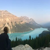 Erica Low's photo