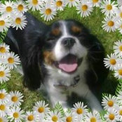 Sharon Powell's photo