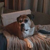 Marianne DeCaro's photo