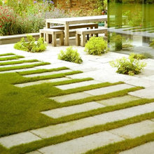 back garden