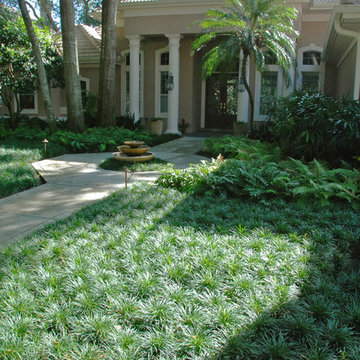 Zero Lawn Shady Garden