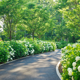 ワシントンD.C.のトラディショナルスタイルのおしゃれな庭 (私道、日陰) の写真