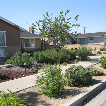 Garden Grove Native/Succulent Front Yard