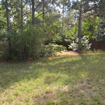 A Yard Untamed