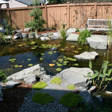 Ponds/ Watergardens