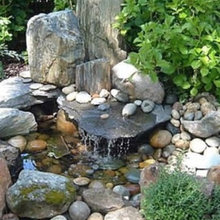 Zen Backyard Ideas
