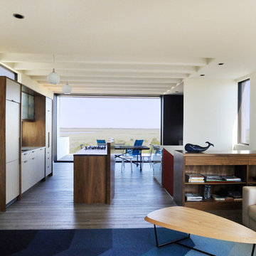 Contemporary Kitchen