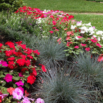 Beautiful Blooming Borders