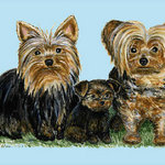 Betsy Drake - Yorkies Door Mat 18x26 - These decorative floor mats are made with a synthetic, low pile washable material that will stand up to years of wear. They have a non-slip rubber backing and feature art made by artists Dick Hamilton and Betsy Drake of Betsy Drake Interiors. All of our items are made in the USA. Our small door mats measure 18x26 and our larger mats measure 30x50. Enjoy a colorful design that will last for years to come.