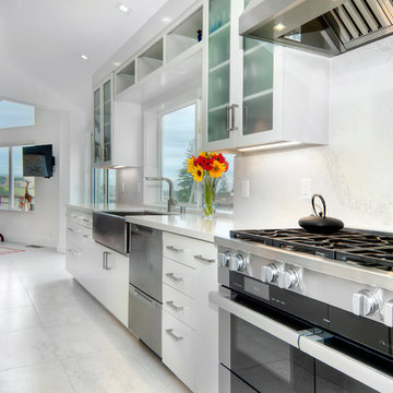 LA Cuesta Contemporary Kitchen