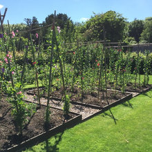 Bowral Garden