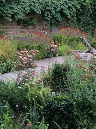 Contemporary Garden by Lucy Willcox Garden Design