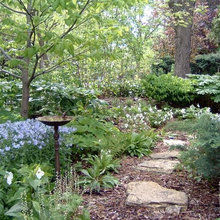 Plantings