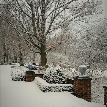 Winter Landscapes