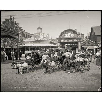 The Goat Carriages, Coney Island, N.Y. Print