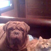 Jean Sockness's photo