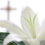 Sherry Eison's photo