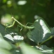 Foto von Kim Parrish