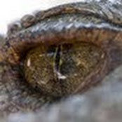 Brett Coon's photo