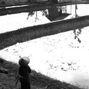 Simon Merlets foto