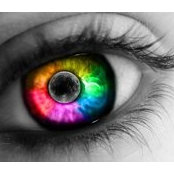 Richard Hailey's photo