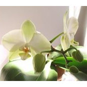 Rolande Lagace's photo