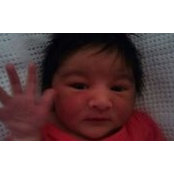 Lina Chauhan's photo