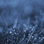 Edward Katz's photo