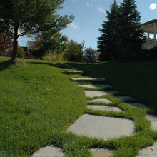 Steps Backyard