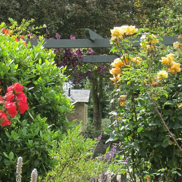Cottage garden planting and climbers on pergola