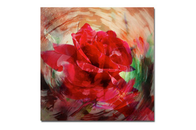 Rose in Bloom Canvas Wall Art