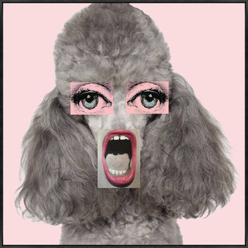 24x24 Pink Poodle Mouth, Framed Artwork, Black
