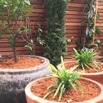 Aménagement d'une terrasse et d'un patio à Puteaux