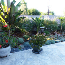 Landscape Ideas