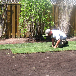 Sod Installation by Harmony Gardens Landscapers - Bulbs And Seeds