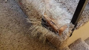 Carpet repair and carpet dying