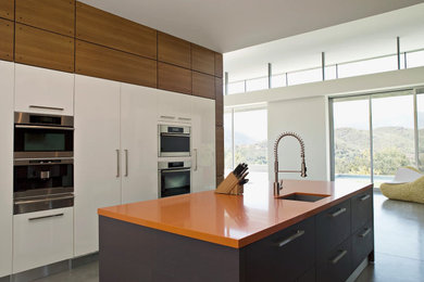 Trendy kitchen photo in Other
