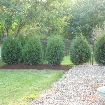 Downers Grove simple privacy hedge