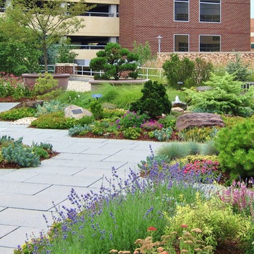 ROOFTOP GARDEN / A Long Term Heritage Project