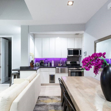 Lower East Penthouse