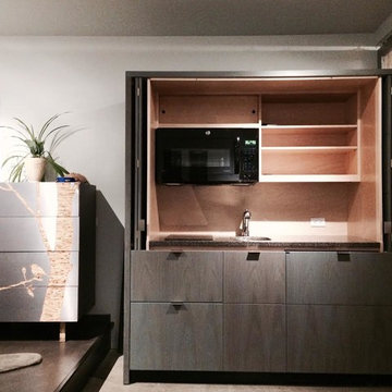 Canadian Stealth Mini-kitchen