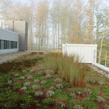 Green Roofs