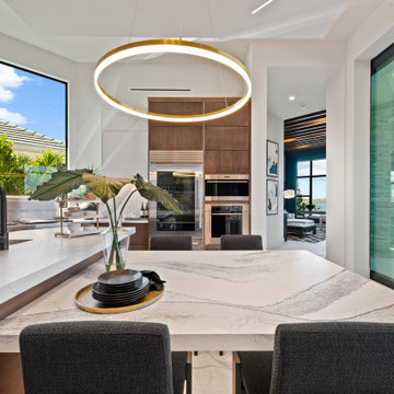 Sand Dollar Model