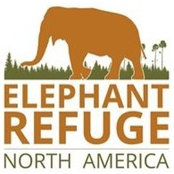 Michelle DeLaria's photo