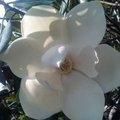 José Viverosduran's photo