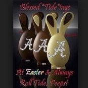 Sharon McGuffie's photo