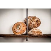 Nicholas Robertson's photo