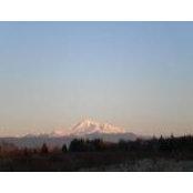 Marlene Reed's photo