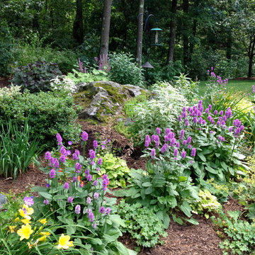 Woodland shade border, Lexington MA