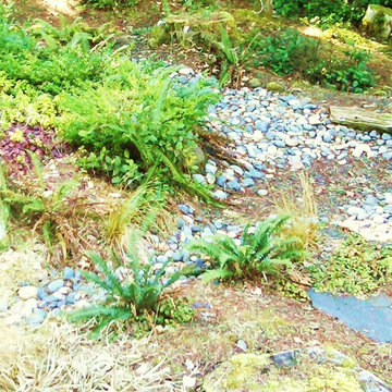 RAIN GARDENS, BIO-SWALES, GREEN DRAINAGE SOLUTIONS